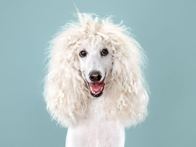 The Twisted Sister