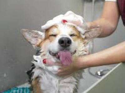 First Step, The Wash