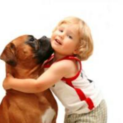 Amy - Dog Petting & Hugs